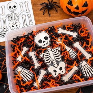 May include: A clear plastic bin filled with black and orange shredded paper, containing various detached acrylic skeleton pieces including a skull, rib cage, pelvis, and limb bones, alongside a printed paper sheet showing a skeleton diagram.