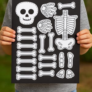 May include: A black poster featuring a white skeleton outline, including a skull, rib cage, and various bones. The skeleton pieces are cut out and ready to be assembled. The poster is held by a person.