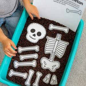 May include: A child's sensory activity set featuring a 'Build-a-Bone Skeleton' theme. The set includes white skeleton bone cutouts, a skull, and a rib cage, all placed in a turquoise bin filled with brown beans. A paper with instructions is also included.