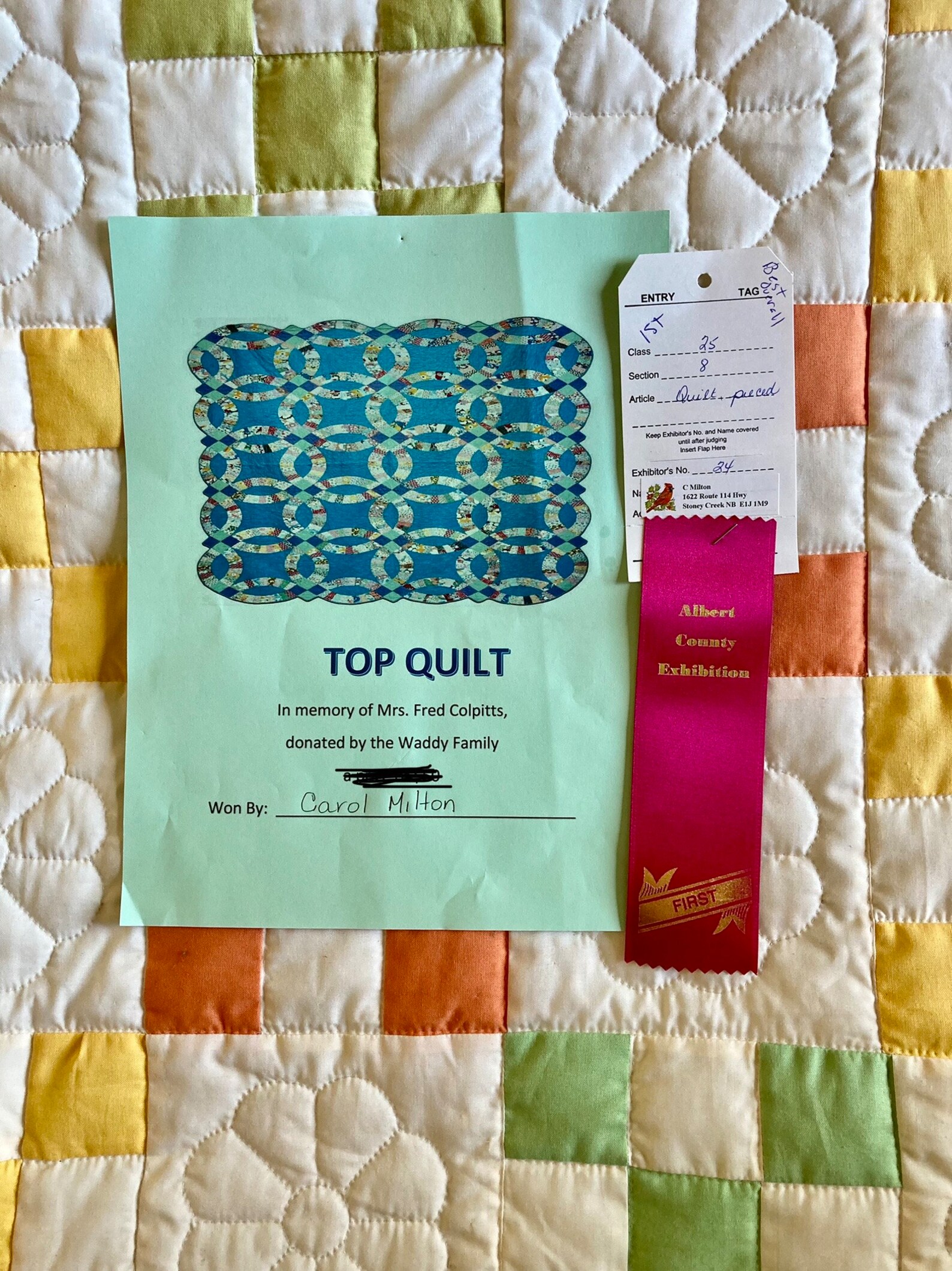 Homemade Quilt, Hand Quilted Quilt, Queen Size Quilt, Pieced Quilt