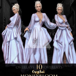 Princess/Christmas Character/Fairy Tale/Queen/Fantasy Character/Composite/PNG/Overlays/3D rendered/stock images/photoshop/Long Dress/Crown