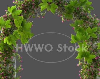Portal/Gate/Garden/Nature/Plants/Flowers/Floral/Stock image/Instant Download/PNG/JPG file/Pillars/High Resolution/3D render/Fantasy/Art
