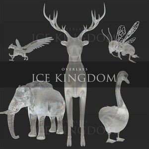 Ice Kingdom/Overlays/Animals/Elephant/Bees/Clipart/Deer/Stock/Instant Download/PNG/Photoshop/Overlays/Photomanipulation/3D render/Griffin