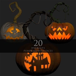 Pumpkin Faces/Halloween Pumpkins/Autumn/Fantasy Plants/Witchy/3Drender/Decoration/Clipart/Overlay/Instant Download/PNG/Photoshop/Composite