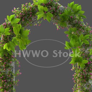 May include: A stone archway covered in green vines with pink flowers. The archway is isolated against a gray background.