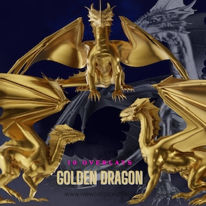 Puede incluir: Diez superposiciones de dragones dorados para diseño digital. Los dragones están en varias poses con las alas extendidas y las garras extendidas. El texto "10 Overlays" y "Golden Dragon" se muestra en texto rosa y blanco. La dirección del sitio web "www.hwwostock.com" se muestra en texto blanco.