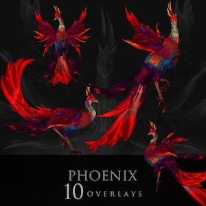 Phénix/Oiseaux/Oiseau fantastique/Animaux/Illustration/Composite/PNG/Superposition/Fantasy/Rendu 2D/2Drendered/Photoshop/photography/Clipart/Zoo/Magic