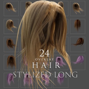 Stylized Hair /Overlays/Swaps/Female/3D renders/Fictional Character/Clipart/Instant Download/PNG/Photoshop/Composite/Photography/PNGS/Long