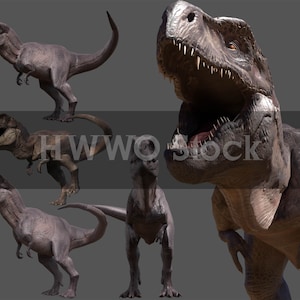 5 Dinosaurs/Tyrannosaur/Rex/Composite/Overlays/Wild Animal/PNG/Photoshop/Ice Age/Prehistoric/Fantasy/Scary/Jurassic Park/Dinosaur