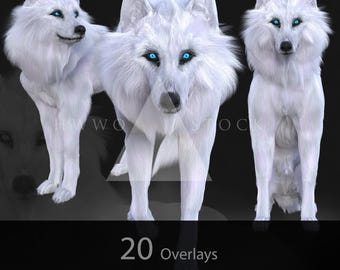 Theron The Wolf/Fantasy Creature/White Wolf/Wolves/Animals/Composite/PNG/Overlays/3D-gerenderd/stockafbeeldingen/photoshop/Winter/Animal/Hond