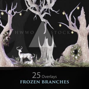 Frozen Branches/Fantasy Plants/Trees/Winter/Snow/Christmas/Garden/Clipart/Overlay/Instant Download/PNG/Photoshop/Decoration/Frost/Throne