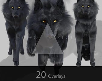 Superposiciones de criaturas fantásticas de lobo negro de Theron (20 archivos PNG) – Arte digital renderizado en 3D