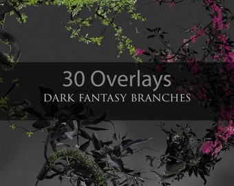 Dark Fantasy takken/wijnstokken/bladeren/natuur/Fantasie planten/Halloween/Clipart/afbeeldingen/Instant Download/PNG/Photoshop/3D weergegeven/bloemen/planten