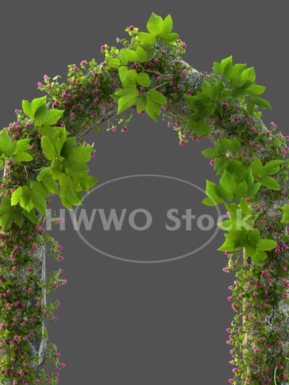 Portal/Gate/Garden/Nature/Plants/Flowers/Floral/Stock image/Instant Download/PNG/JPG file/Pillars/High Resolution/3D render/Fantasy/Art