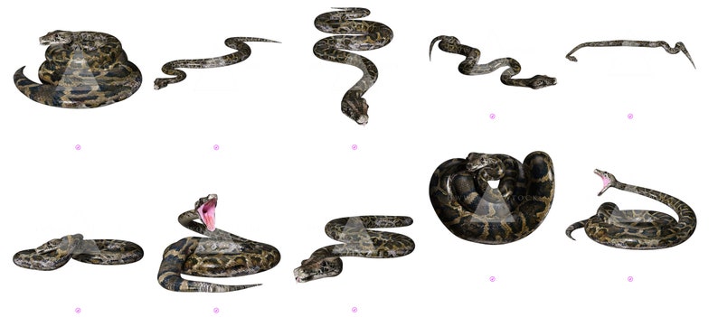 May include: A series of digital illustrations depicting snakes in different positions. The snakes feature a brown and tan pattern, with some displaying open mouths and coiled forms. The images are set against a white backdrop.