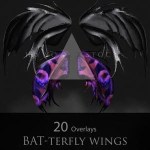 BATterly Wings/Schmetterling/Fledermaus/Fantasy Flügel/Composite/PNGS/PNG/Overlay/Dark Fantasy/Vogel/2D Rendert/2Drendered/Photoshop/Fotografie/Kreatur
