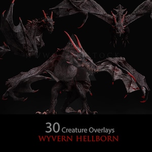 May include: A digital illustration of a black wyvern with red accents. The wyvern is shown in three different poses, including flying, standing, and looking to the side. The text "30 Creature Overlays" and "WYVERN HELLBORN" is displayed below the image.