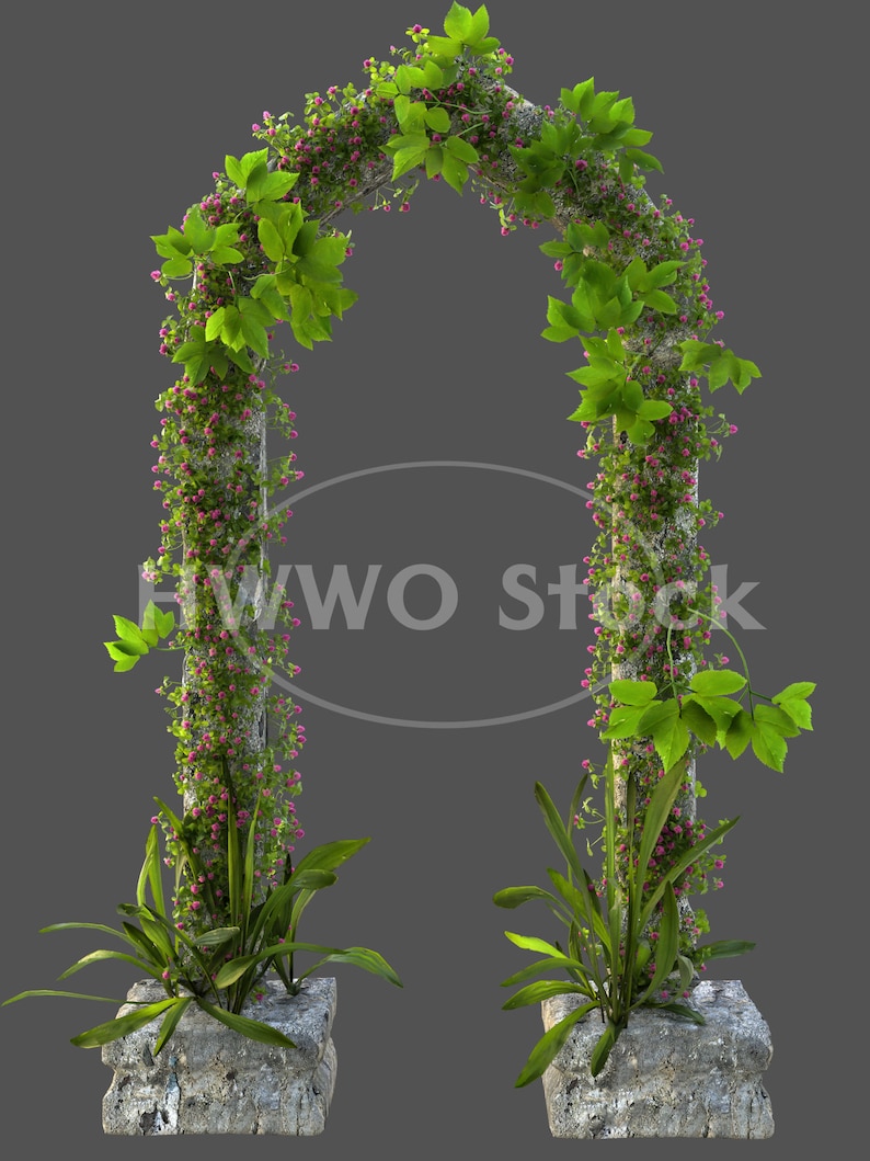 May include: A stone archway covered in green vines with pink flowers. The archway is decorated with green plants and has a stone base.