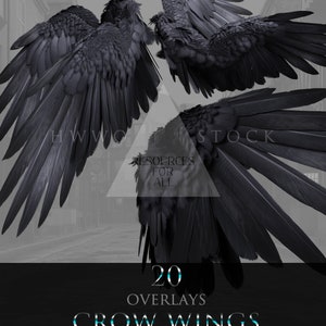 Crow Wings/Angel/Feathers/Fantasy Wings/Composite/PNGS/PNG/Overlay/Overlays/Gothic/2D renders/2Drendered/photoshop/photography/Creature/Dark