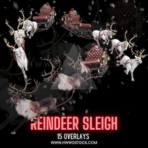 Trineo de renos, Invierno, Animales, Acogedor, Mágico, Compuesto, PNG, Superposición, Fantasía, Renders 2D, Photoshop, Fotografía, Imágenes prediseñadas, Navidad, Polo Norte