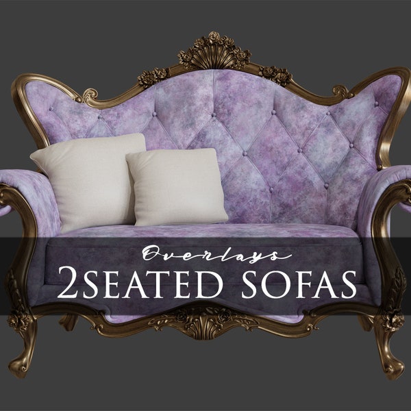 Sofás clásicos/muebles elegantes/superposiciones/3D/fotografía/decoración/clipart/superposición/imagen de stock/descarga instantánea/PNG/Photoshop/compuesto