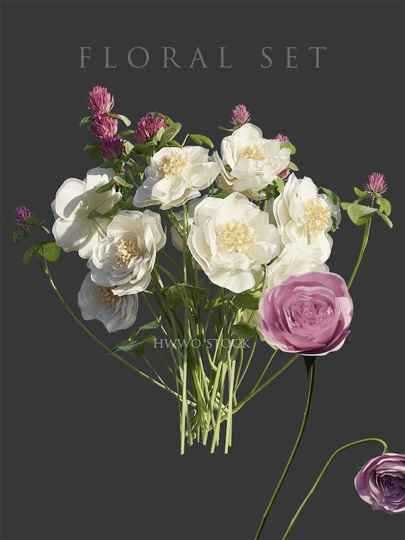 Floreale/Rose/Bouquet/Sovrapposizioni/Piante/Matrimonio/Romantico