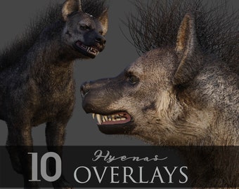 Hyenas/Wild Animals/3D rendered/Animal Kingdom/Clipart/Overlay/Photomanipulation/Instant Download/PNG/Photoshop/Composite/Beast/Animals