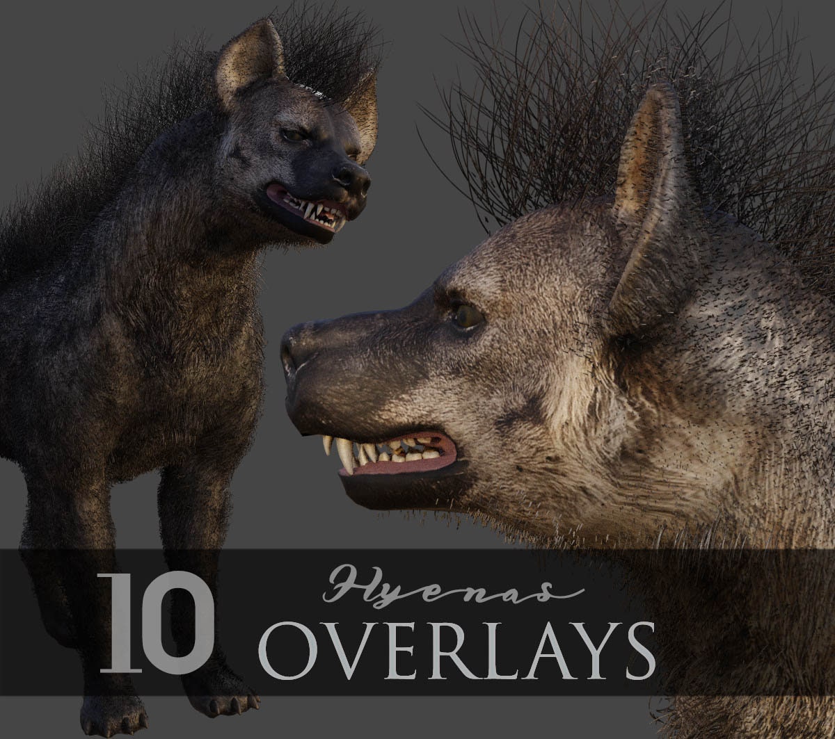 Hyenas/wild Animals/3d Rendered/animal - Etsy New Zealand Hyenas/wild Animals/3d Rendered/animal - Etsy New Zealand