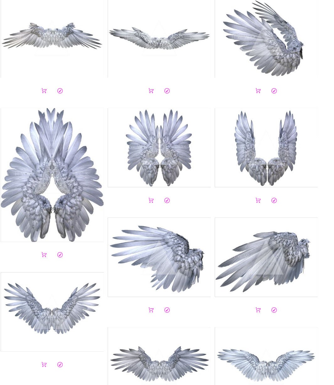 白い翼/天使/羽/ファンタジーの翼/合成/PNG/PNG/オーバーレイ