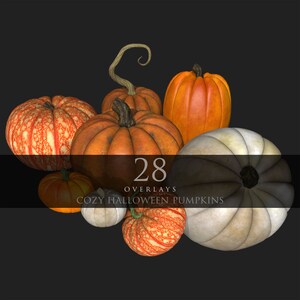 Puede incluir: Una colección de 28 superposiciones de calabazas de Halloween acogedoras. Las calabazas son de varias formas, tamaños y colores, incluyendo naranja, blanco y un naranja moteado de blanco. El texto "28 Overlays Cozy Halloween Pumpkins" se muestra sobre un fondo negro.