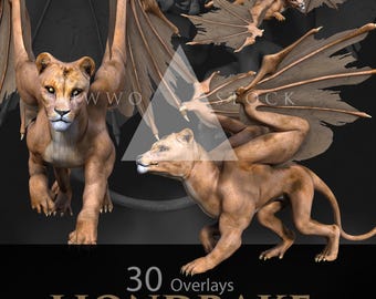 Liondrake, Fantasy Dragon Creature (30 png-bestanden) – 3D-gerenderde digitale kunst