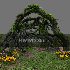 Cave/Entangled/Ivy/Branches/Clipart/Witchy/Overlay/Architecture/Plants/Stock/Instant Download/PNG/Photoshop/Composite/Fantasy/Backgrounds
