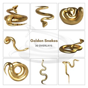 Cobras Douradas/Metálicas/Artefatos/Adereços de Imagem/Fantasia/Composto/PNG/PNG/Sobreposição/Sobreposições/Renderização 3D/Imagem de Estoque/Dourado/Acessório