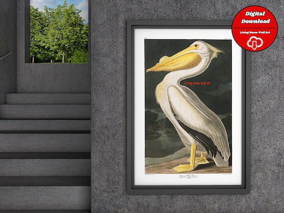 Audubon White Pelican Print, Vintage Bird Art (Digital Download)