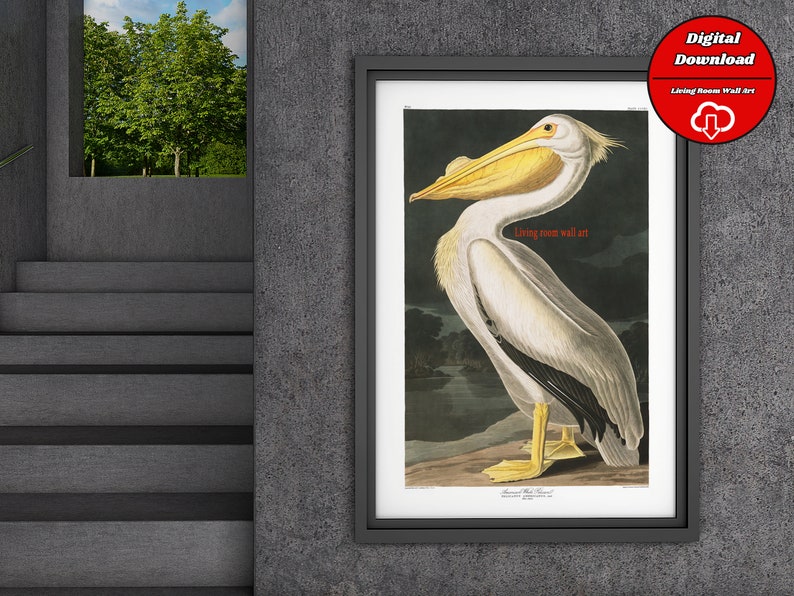 Op de afbeelding: Een vintage illustratie van een witte pelikaan met een gele snavel, tegen een donkere achtergrond. De afbeelding is in zwart ingelijst en heeft het label "Woonkamer wandkunst".