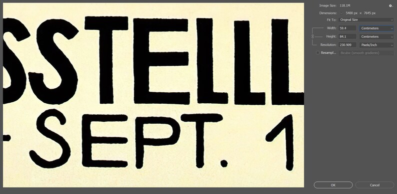 May include: Close-up of a cream-colored background with the black text "SSTELLL SEPT. 1". The image also shows a screenshot of a software interface with dimensions of 59.4 cm wide and 84.1 cm high.