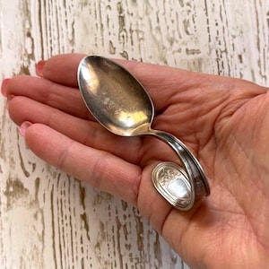 May include: A silver spoon ring with a curved handle and an oval decorative element. The spoon's bowl is polished, reflecting light. The ring is a unique piece of jewelry.