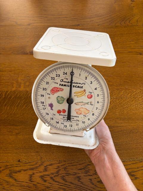 American Family Scale - Etsy