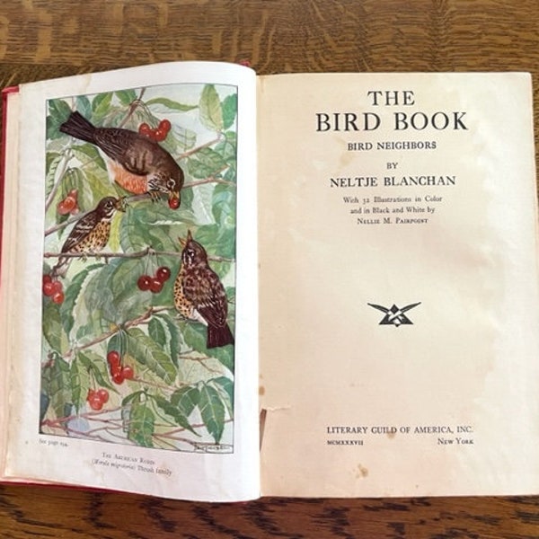 Antique Bird Book - 1932 "The Bird Book Bird Neighbors" - Antique Book Collector