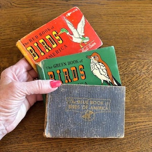 Vintage Bird Reference Books - (3) "Birds of America" , Red, Green, Blue - Vintage Book Collector