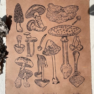 Mushroom Study | Original Linocut Print | Block Printed Wall Art | Forage/ Fungi Art Piece