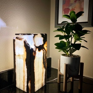 May include: A white and brown onyx lamp with a light inside. The lamp is on a black surface next to a potted plant on a wooden stand.