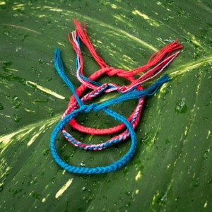 May include: Three colorful friendship bracelets in blue, pink, and red, woven together and lying on a green leaf.
