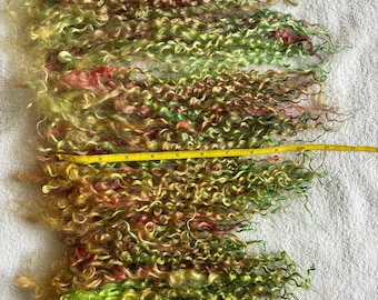 Pelo rizado de oveja pura de Teeswater Ref. GGPPSX01