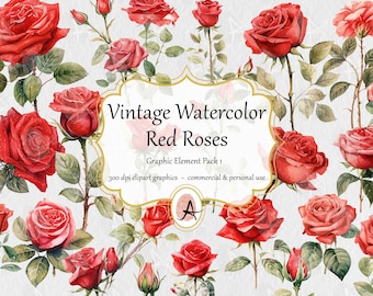 Watercolor Vintage Red Rose Clipart, red roses and rose buds, floral art - instant digital download in PNG format for commercial use