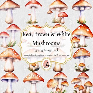 Aquarelle champignons illustrations clipart - 25 images PNG - clipart champignon vénéneux nature forêt mignon - téléchargement immédiat pour un usage commercial