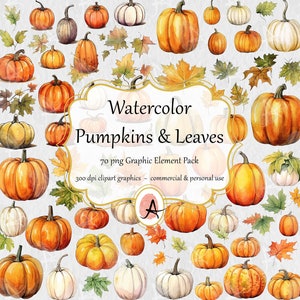 Watercolor Pumpkin Clipart, Autumn leaves and gourds illustration - instant digital download in PNG format for commercial use