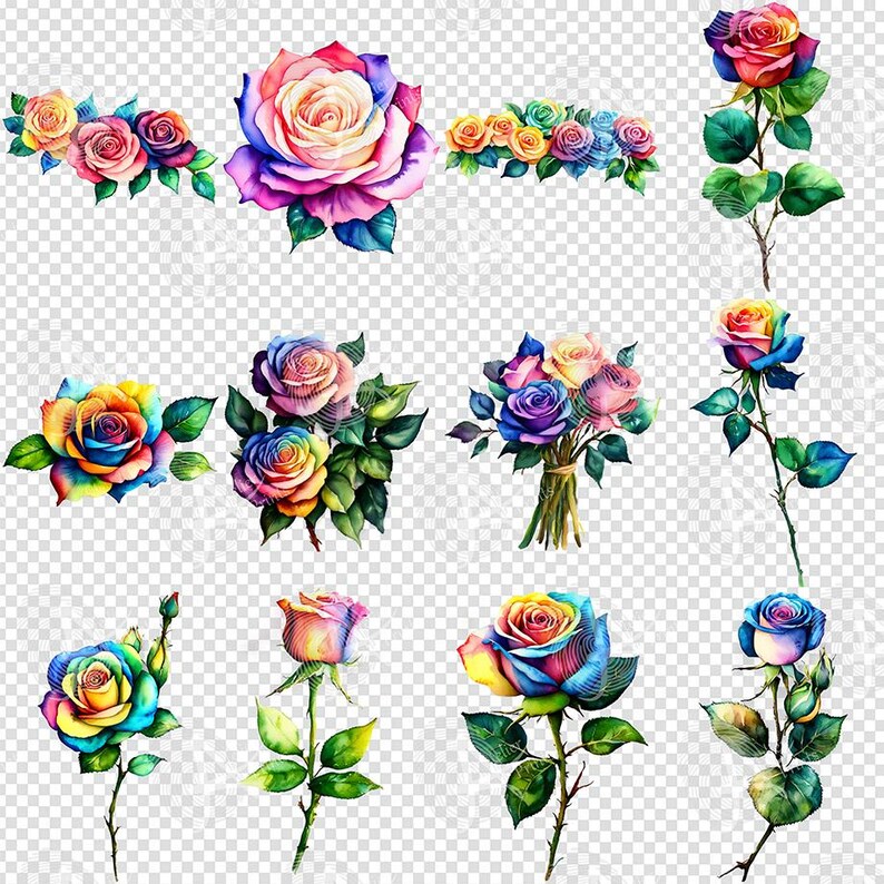 Watercolor Rainbow Rose Clipart, Multi Color Roses and Rose Buds ...