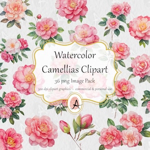 Watercolor Camellias Clipart - spring floral camellia flowers and blossoms in PNG format - 36 images -  instant download for commercial use