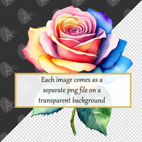 Watercolor Rainbow Rose Clipart, Multi Color Roses and Rose Buds ...